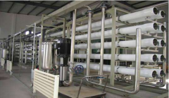 過(guò)敏很可能危及生命,過(guò)敏原的分離純化技術(shù)是必不可少的 過(guò)敏很可能危及生命,過(guò)敏原的分離純化技術(shù)是必不可少的