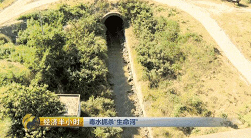 �L��ˮ��Ⱦ